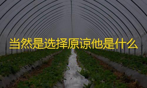 全网科技低价货源辅助当然是选择原谅他是什么梗